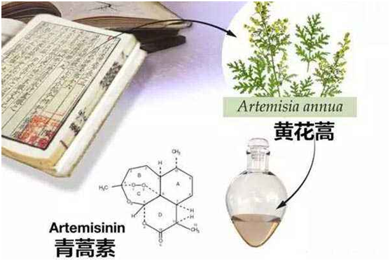 安博注册,安博(中国)：向中医药看齐，与世界共享中医药文化(图1)